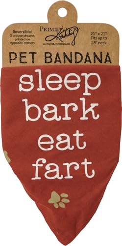 Primitives by Kathy Reversible Pet Bandana - I Chase Taco Trucks and Sleep Bark Eat Fart, 21" x 21" Large