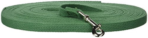 OmniPet Leather Brothers 50-Feet Web Training Lead, Small, Green