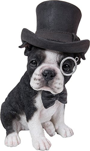 Hi Line Boston Terrier with Top Hat - Spectacle and Bow Tie