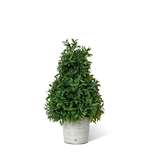 Park Hill Collection EBQ20457 Mountain Savory Cone Topiary, Small