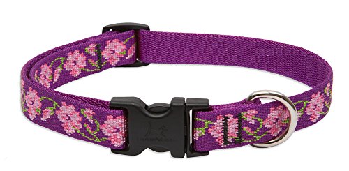 Lupine Pet Originals 3/4" Rose Garden 15-25" Adjustable Collar for Large Dogs