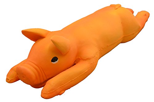 Amazing Pet Products Latex Hog Dog Toy, 6.5-Inch