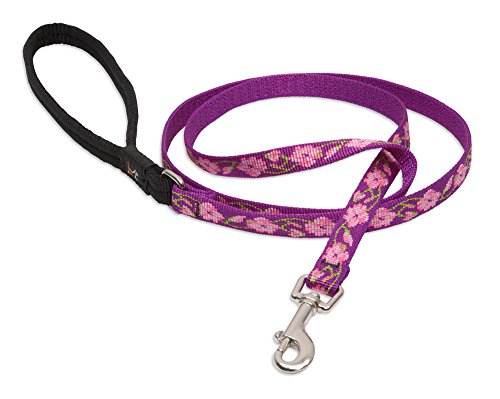 Lupine Pet Originals 1/2" Rose Garden 4-Foot Padded Handle Leash for Small Pets