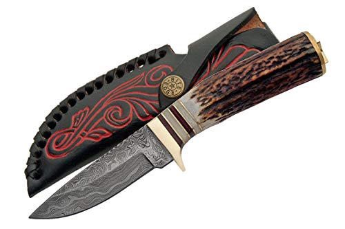 SZCO Supplies White Tail Skinner Hunting Knife