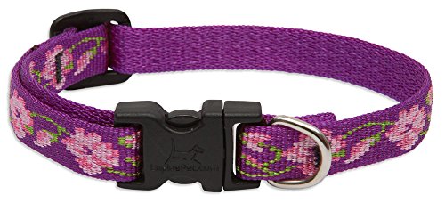 Lupine Pet Originals 1/2" Rose Garden 8-12" Adjustable Collar for Small Dogs