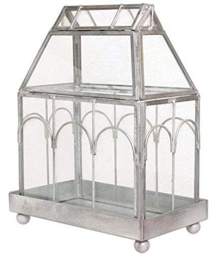 CTW Archway Glass Terrarium