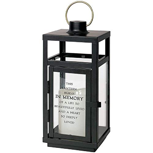 Carson in Memory Lantern