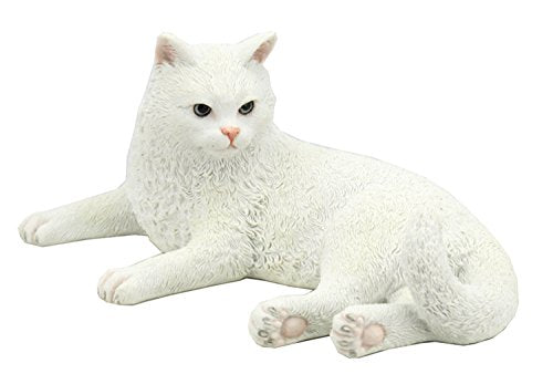 Unicorn Studio British Shorthair White Cat
