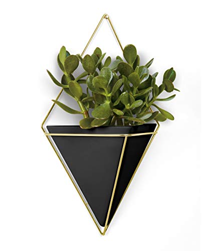 Umbra Trigg Large Hanging Planter Wall Decor, for Displaying Small Plants, Pens and Pencils, Makeup Accessories and More, Black/Brass