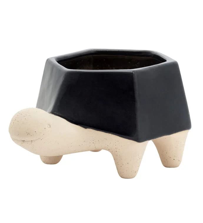 Napco Geometric Turtle Black 2.25 x 3.75 Ceramic Planter Pot