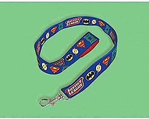 Amscan Justice League Lanyard | Party Favor