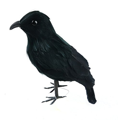 Midwest Design Touch of Nature Feather Crow Black on Wire, 10-Inch