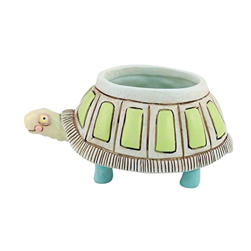Enesco Allen Studio Designs Collection Baby Myrtle The Turtle Planter 