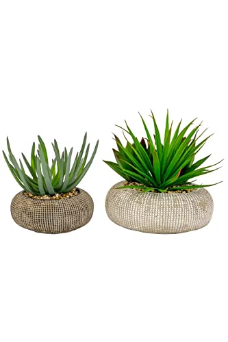 Kalalou CNL1334 Set of Two Succulents in Concrete Pots, See Image