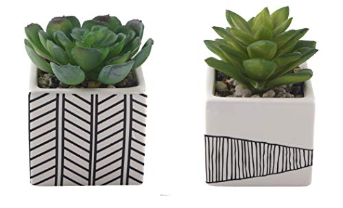 Flora Bunda Artificial Plants Cactus Set of 2 Artificial Succulent in Tribal Ceramic Planter 3" W x 4.25" H Green in White Tribal, for Home Office Decorations