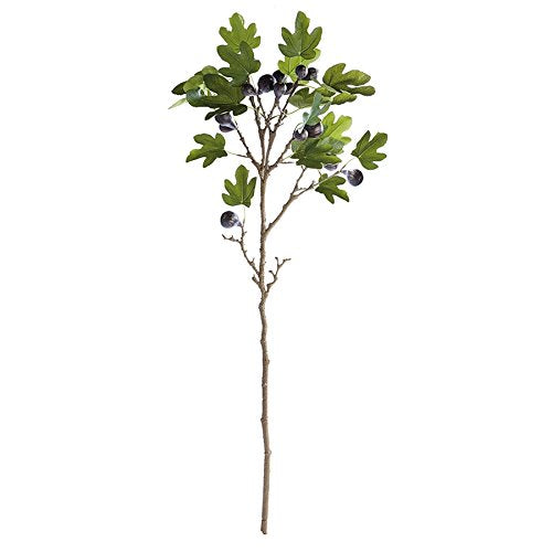 Napa Home & Garden FIG Branch with FIGS 46"