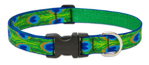 Lupine Pet Originals 1" Tail Feathers 25-31" Adjustable Collar for Extra Large Dogs