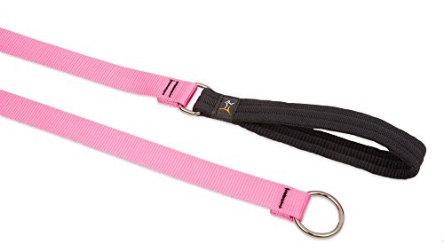 Lupine Pet Basics 1" Pink 6-foot Slip Lead/Leash for Medium and Larger Dogs
