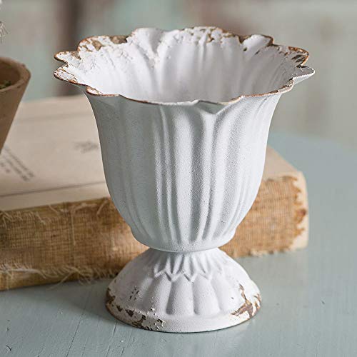 CTW Home Collection Small Scalloped Cup