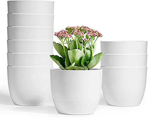 T4U Self Watering Planters Plastic 5 Inch White Set of 10, Plant Flower Pot Modern Decorative Seeding Nursery Pots Outdoor Indoor Garden for All House Plants Flowers Herbs African Violets