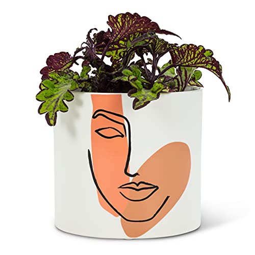 Abbott Collection  27-Portrait-LG Large Modern Face Planter, White
