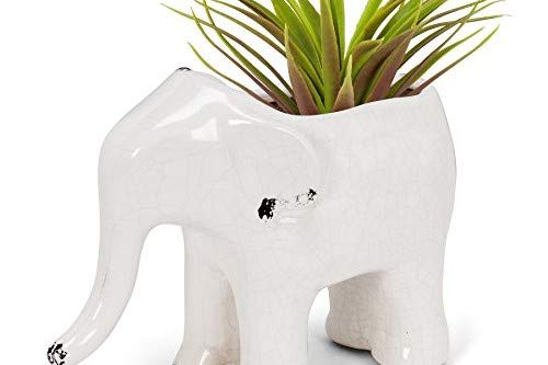 Abbott Collection  27-ARTISAN/001 Standing Elephant Planter, Antique White