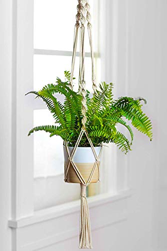 ecofynd Macrame Cotton Plant Hanger [Without Pot] | Rope Flower Pot Holder for Indoor Outdoor Balcony Garden | Home Decor - Set of 1