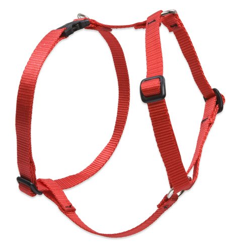 Lupine Pet Basics 3/4" Red 14-24" Adjustable Roman Dog Harness for Medium Dogs