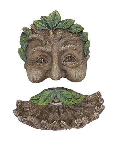 Red Carpet Studios 40155 Tree Face Birdfeeder, Mustache