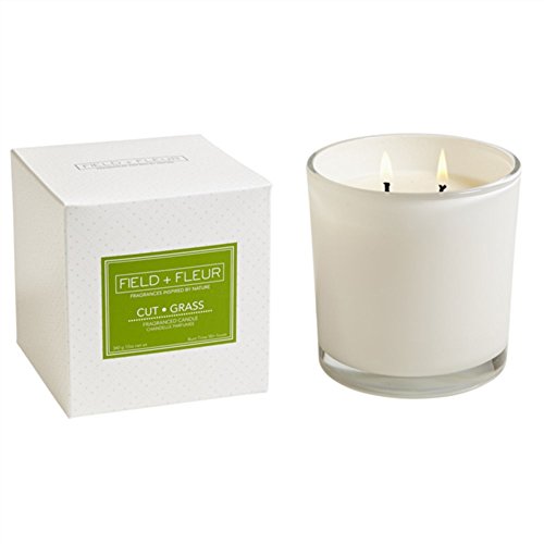 HillHouse Naturals Field + Fleur 2-Wick White Glass Jar Candle, Cut Grass, 12 oz.