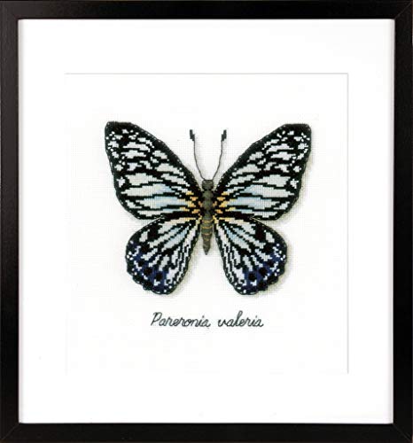 Vervaco Blue Butterfly Counted Cross Stitch Kit, Multi-Colour