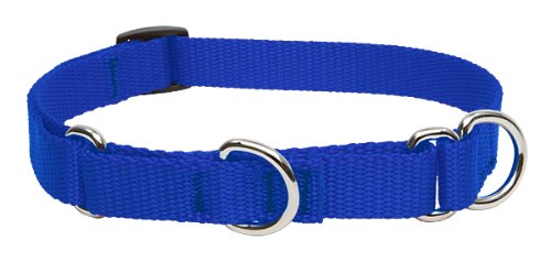 Lupine Pet Basics 3/4" Blue 14-20" Martingale Collar for Medium and Larger Dogs