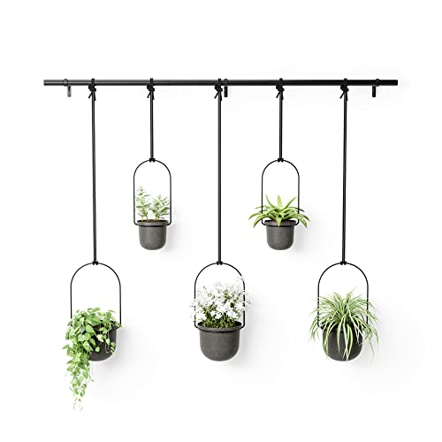 Umbra Triflora Hanging Planter, Set of 5, Black