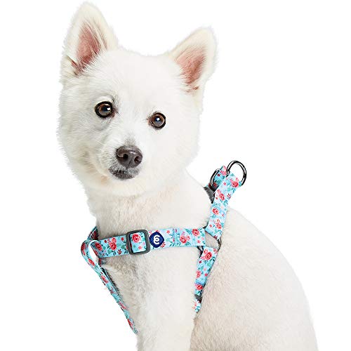 Blueberry Pet Essentials Step-in Spring Scent Inspired Garden Floral Dog Harness in Pastel Blue, Chest Girth 20" - 26", Medium, Adjustable Harnesses for Dogs