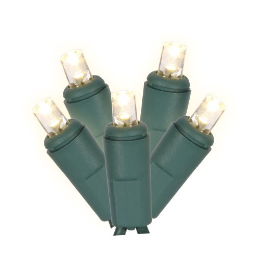 Vickerman 50 Light Wide Angle Warm White Twinkle LED light set on Green Wire