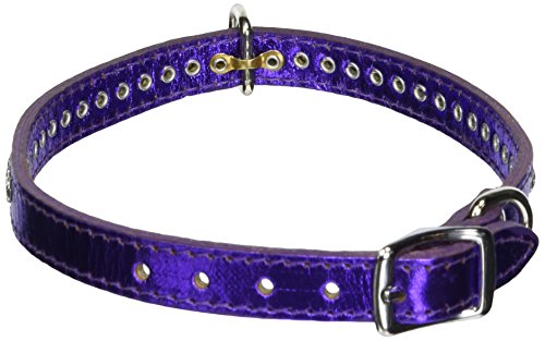 OmniPet Signature Leather Crystal and Leather Dog Collar, 16", Metallic Purple