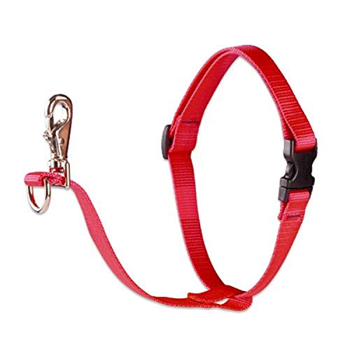 Lupine Pet Basics 3/4" Red 16-26" No Pull Harness for Small-Medium Dogs