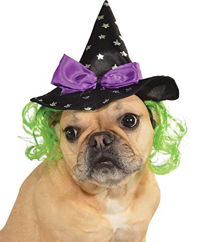 Rubie's Star Witch Hat with Hair Pet Accessory, Medium/Large