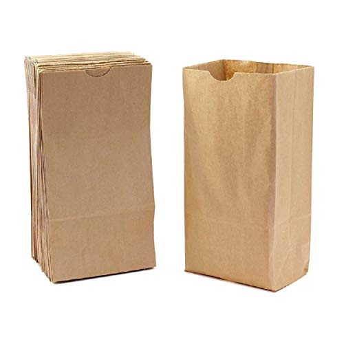 Hygloss Brown Paper Gusseted Flat Bottom Lunch Bags-Party Favors, Puppets, Crafts & More, Large (6 x 3.5 x 11.25 Inch), Natural/Kraft