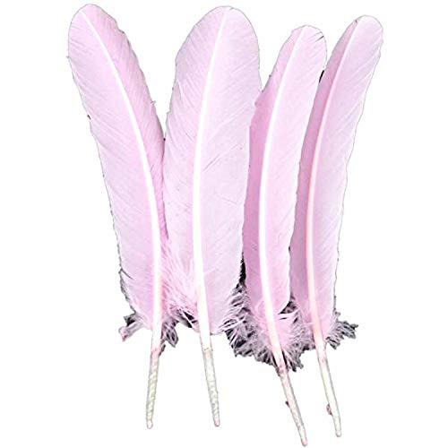 Midwest Design Touch of Nature 4-Piece Turkey Feather for Art and Craft, 12.25 to 13-Inch, Baby Pink