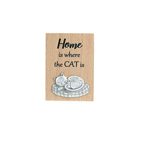 Ganz ER62376 Home is Where The Cat is Magnet Plaque, 2-inch Height, Brown and Silver