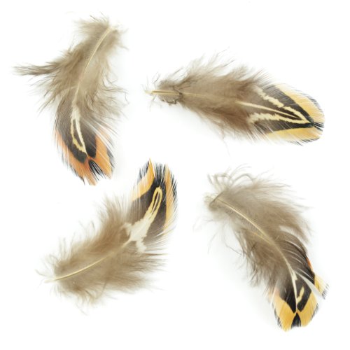 Midwest Design Touch of Nature Ringneck Pheasant Natural Feathers for Arts and Crafts, 3gm, Brown