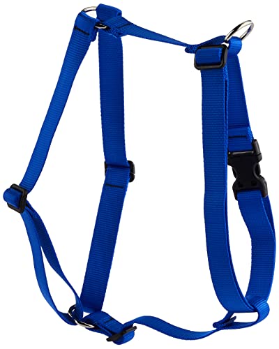 Lupine Pet Basics 1" Blue 24-38" Step In Harness for Large Dogs