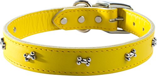 OmniPet Signature Leather Dog Collar with Bone Ornaments, Yellow, 10"