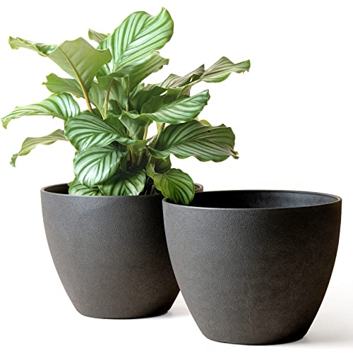 La Jol√≠e Muse Outdoor Planter Flower Pots Outdoor- 11.3 Inch Planter with Drainage for Indoor Outdoor Plants Flowers, Black, Set of 2