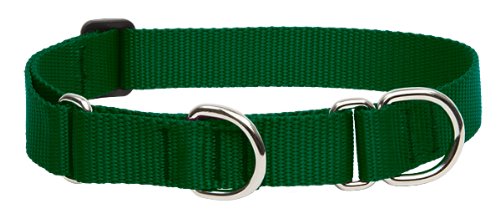 Lupine Pet Basics 1" Green 15-22" Martingale Collar for Medium and Larger Dogs