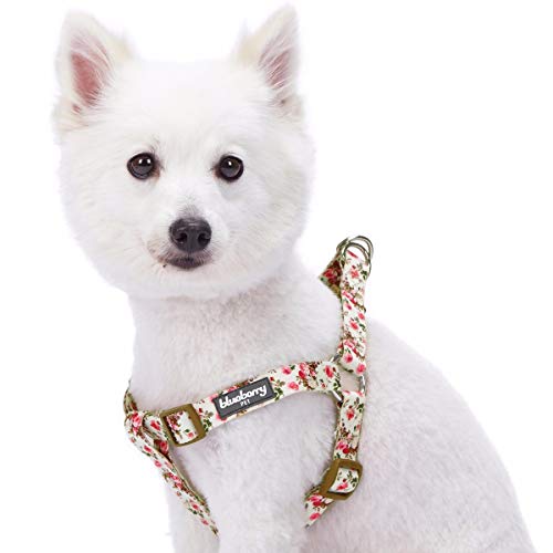 Blueberry Pet 9 Patterns Step-in Spring Scent Inspired Pink Rose Print Ivory Dog Harness, Chest Girth 16.5" - 21.5", Small, Adjustable Harnesses for Dogs