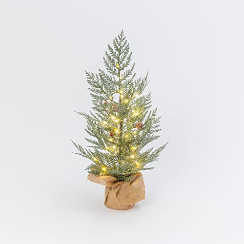 Gerson 2602690 Lighted Pine Tree with Burlap Base, Battery Operated, 24-inch Height