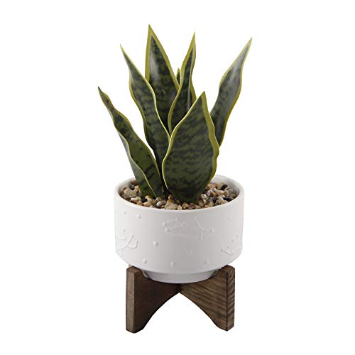 Flora Bunda Large 10" Realistic Looking Artificial Snake Plant in Constalition Ceramic Pot with Wooden Stand for Outdoor Indoor Home or Office Decor Artificial Plant, Fake Plant