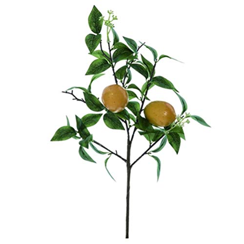 Transpac G7429 Small Lemon Stem, 19-inch Height